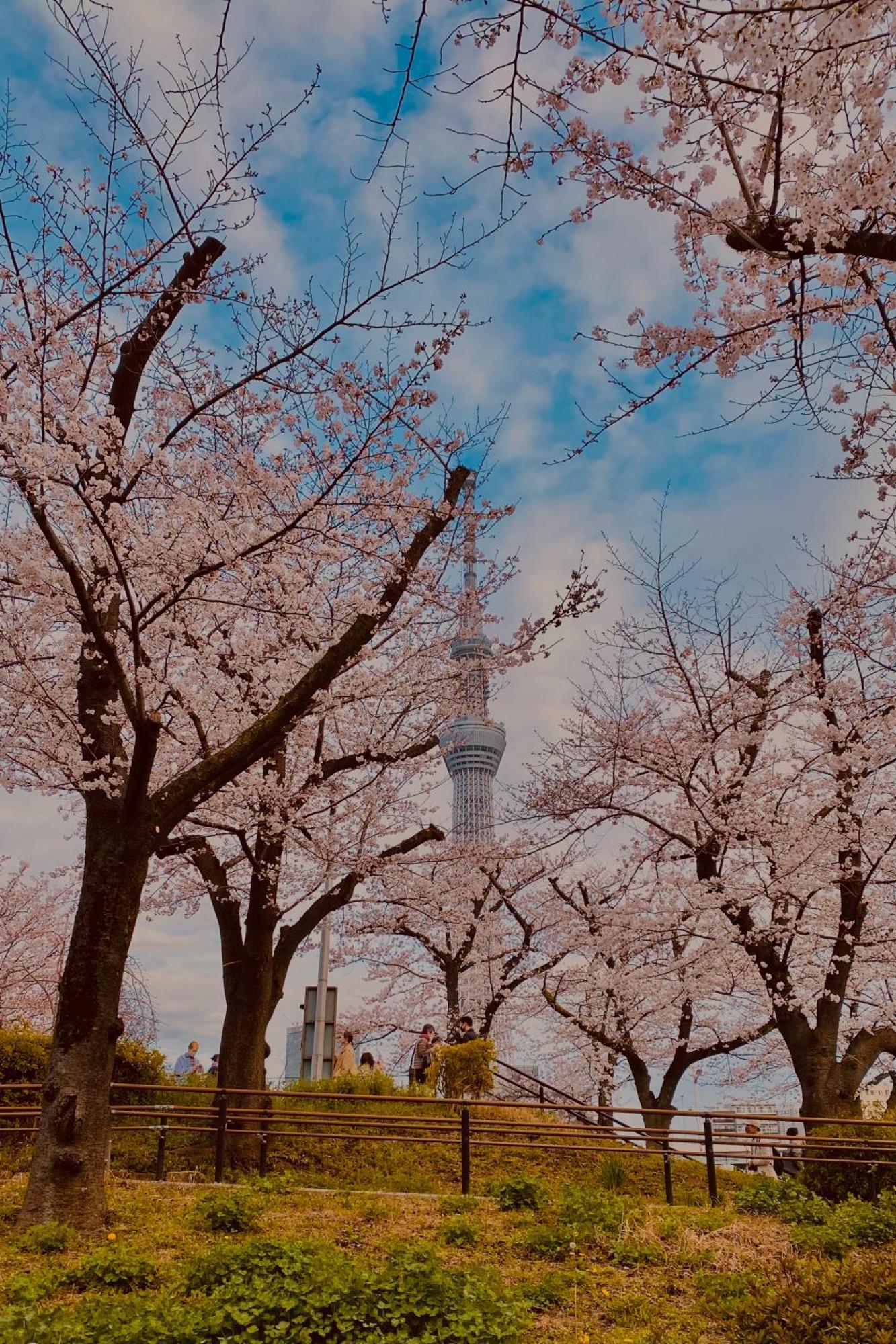 Toe Library Tokyo Asakusa Экстерьер фото